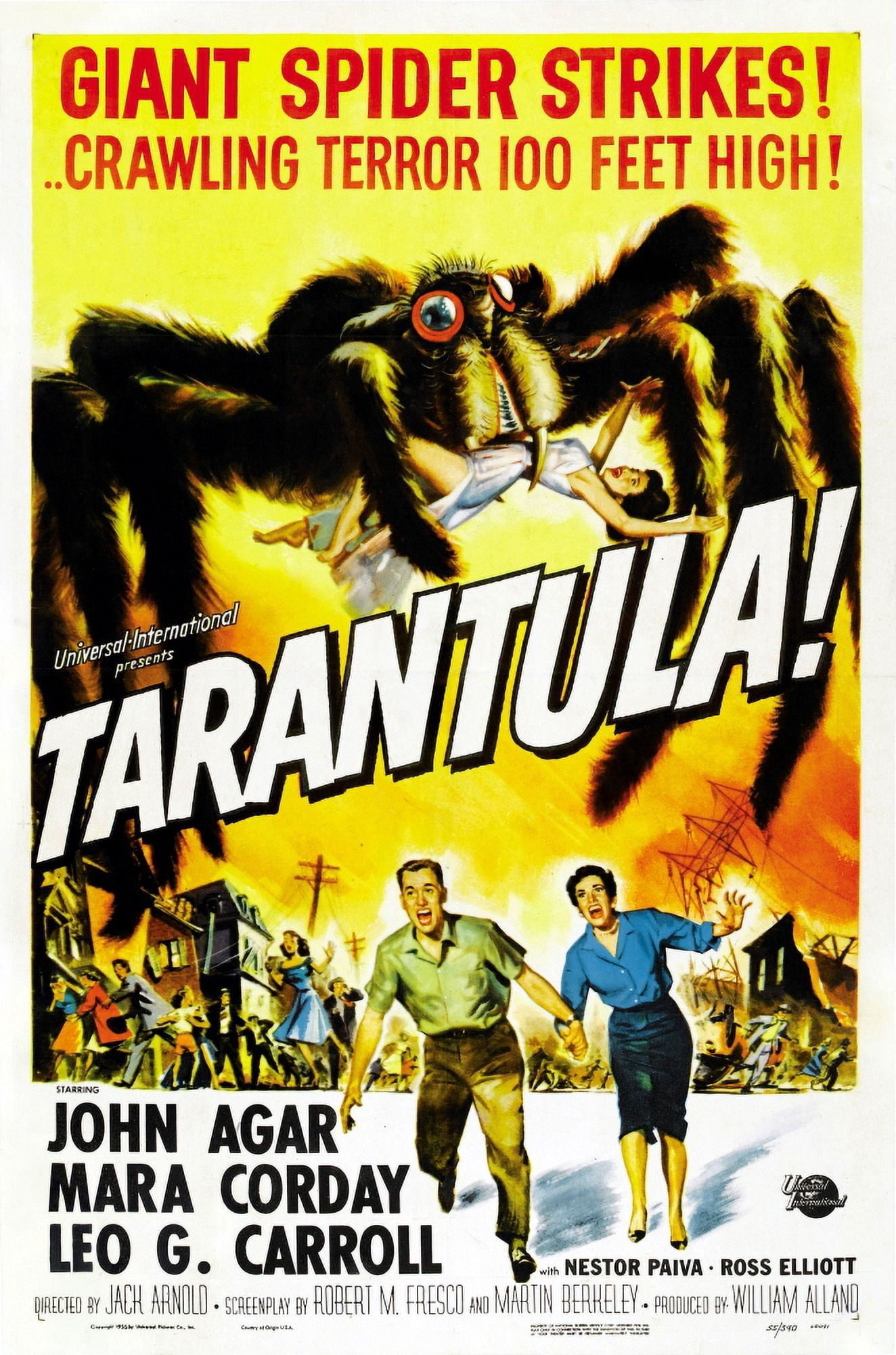 Tarantula US Canvas Art -  (11 x 17)