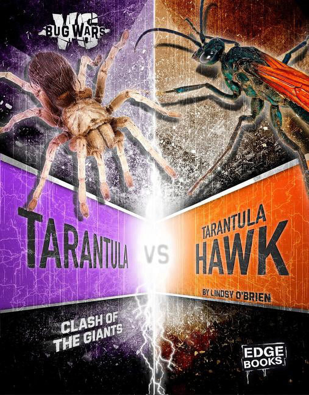 Tarantula VS Tarantula Hawk Clash Of The Giants Hardcover By Lindsy tarantula-vs-tarantula-hawk-clash-of-the-giants-hardcover-by-lindsy