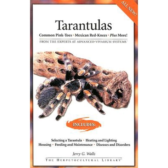 Pre-Owned Tarantulas : Common Pink-Toes, Mexican Red-Knees, Plus More!