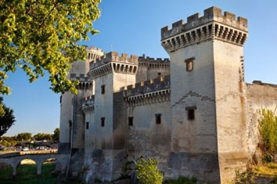 Tarascon Castle Arles Provence France Canvas Art - Brian Jannsen DanitaDelimont (36 x 24)