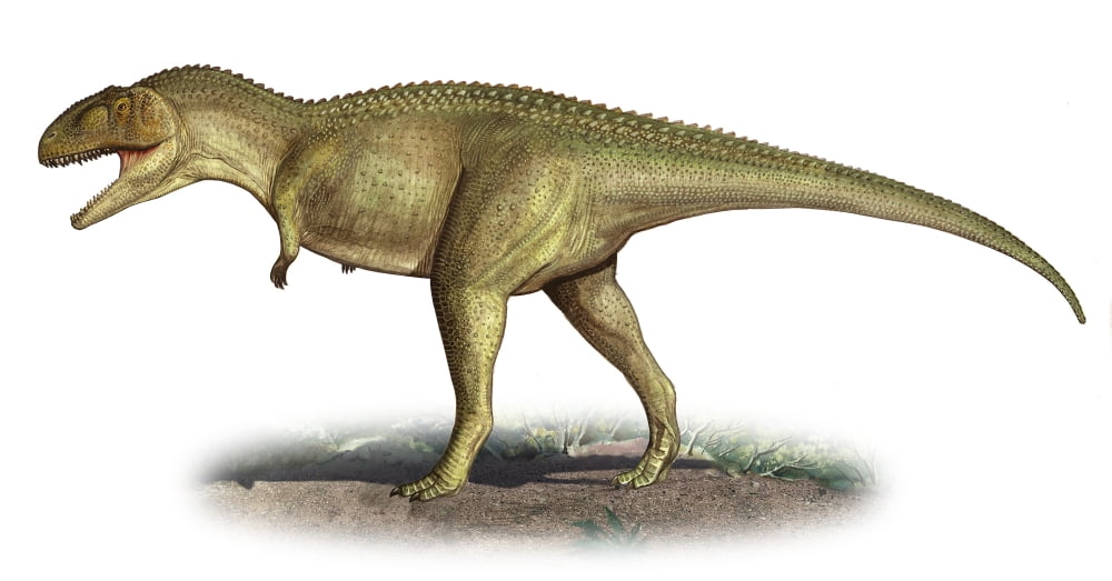Tarascosaurus salluvicus a prehistoric era dinosaur Canvas Art - Sergey KrasovskiyStocktrek Images (39 x 21)