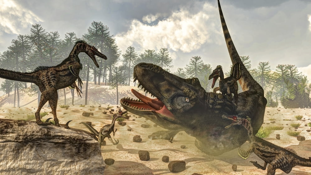 Tarbosaurus attacked by a group of Velociraptor dinosaurs Canvas Art - Elena DuvernayStocktrek Images (38 x 22)