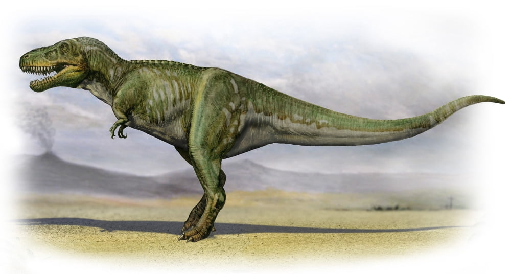 Tarbosaurus bataar a prehistoric era dinosaur Canvas Art - Sergey KrasovskiyStocktrek Images (39 x 21)