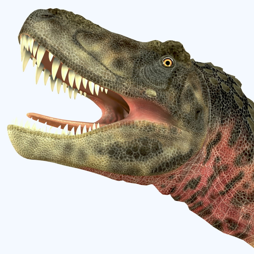 Tarbosaurus dinosaur roaring Canvas Art - Corey FordStocktrek Images (28 x 28)