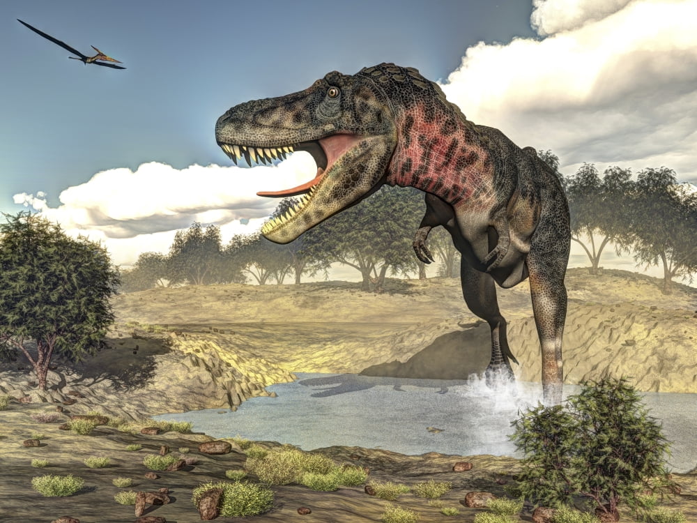 Tarbosaurus running through a steam amongst Tamarix plants Canvas Art - Elena DuvernayStocktrek Images (17 x 13)