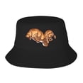 thumbnail image 1 of Tardigrade Water Bear Bucket Hat For Womens And Mens Outdoor Beach Fisherman Hat Sun Hat, 1 of 8