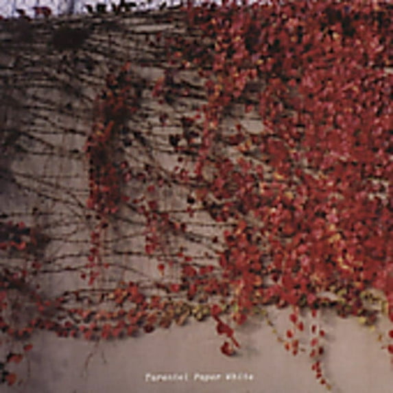 Tarentel - Paper White - Music & Performance - CD