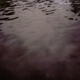 thumbnail image 1 of Tarentel - We Move Through Weather - Music & Performance - CD, 1 of 1