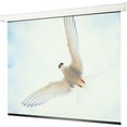 thumbnail image 1 of Targa Contemporary motor-in-roller electric screen, 1 of 2