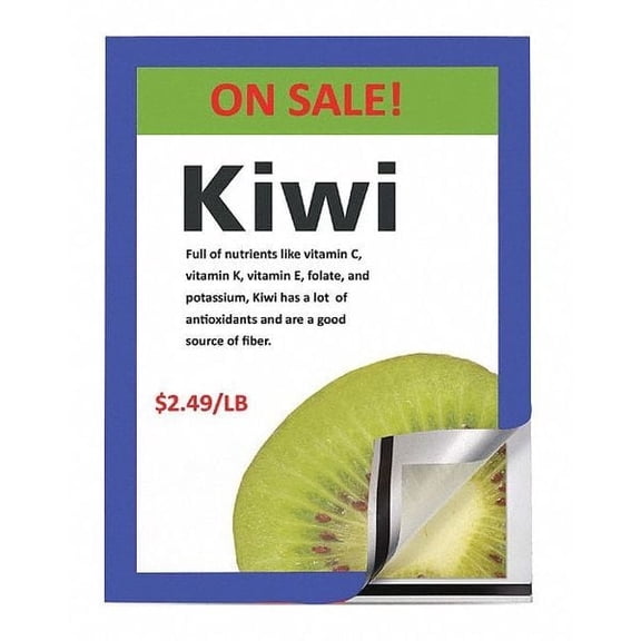 Tarifold Magneto Magnetic Picture Frame,Blue,PK2 P18630