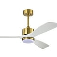 thumbnail image 1 of Tariq 52 in. 1-Light Indoor Brass Finish Ceiling Fan with Light Kit, 1 of 3