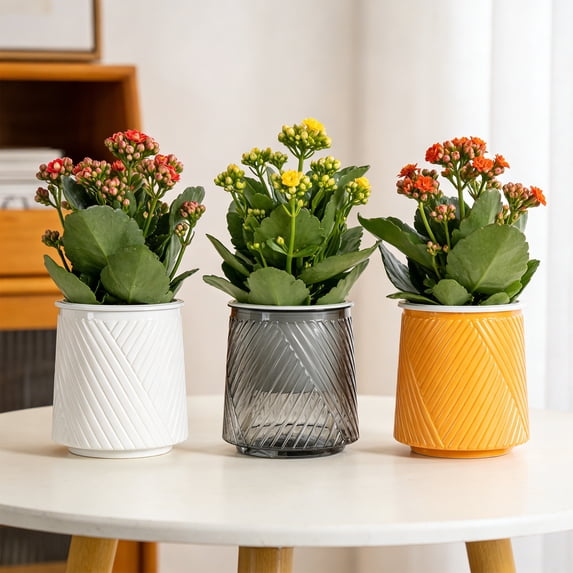 Tarmeek Grey Self-Watering Planter - Transparent Plant Container for Indoor Outdoor Home Garden, Modern Design for Small Potted Plants, Creative Watering System