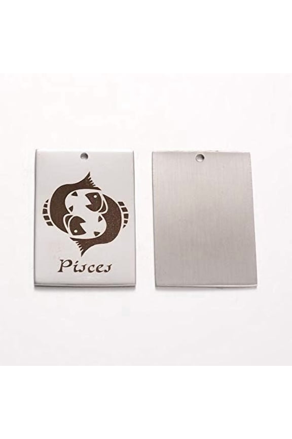 Tarnish Resistant Rectangle Stainless Steel Pendants Constellation/Zodiac Sign Pisces 30x20x1mm Hole: 1.5mm