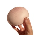 thumbnail image 1 of Taro Bun Squishy, Ultra Soft Slow Rising Squeeze Activity, Dough Inspired Sensory Fidget, Soft Pinch and Knead Play, Cute Food Shaped Novelty, Gift Idea, Home Travel Party Use, 1 of 2