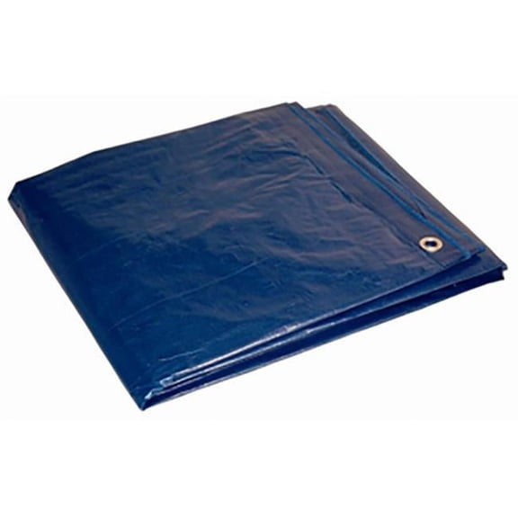 Manufacturer Varies Tarp,Blue,20 ft L,10 ft W 81020