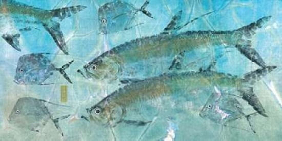 Tarpon Lagoon Canvas Art - Jim Roberts (10 x 20)