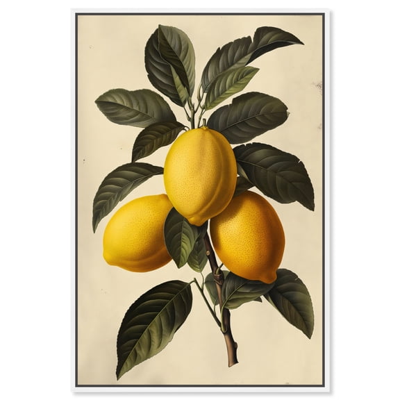 Tart Branch Canvas Lemon Wall Art by Art Remedy, White Frame, 10" x 15"