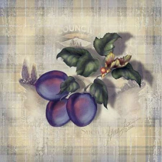 Tartan Fruit-Plum Canvas Art - Alma Lee (24 x 24)