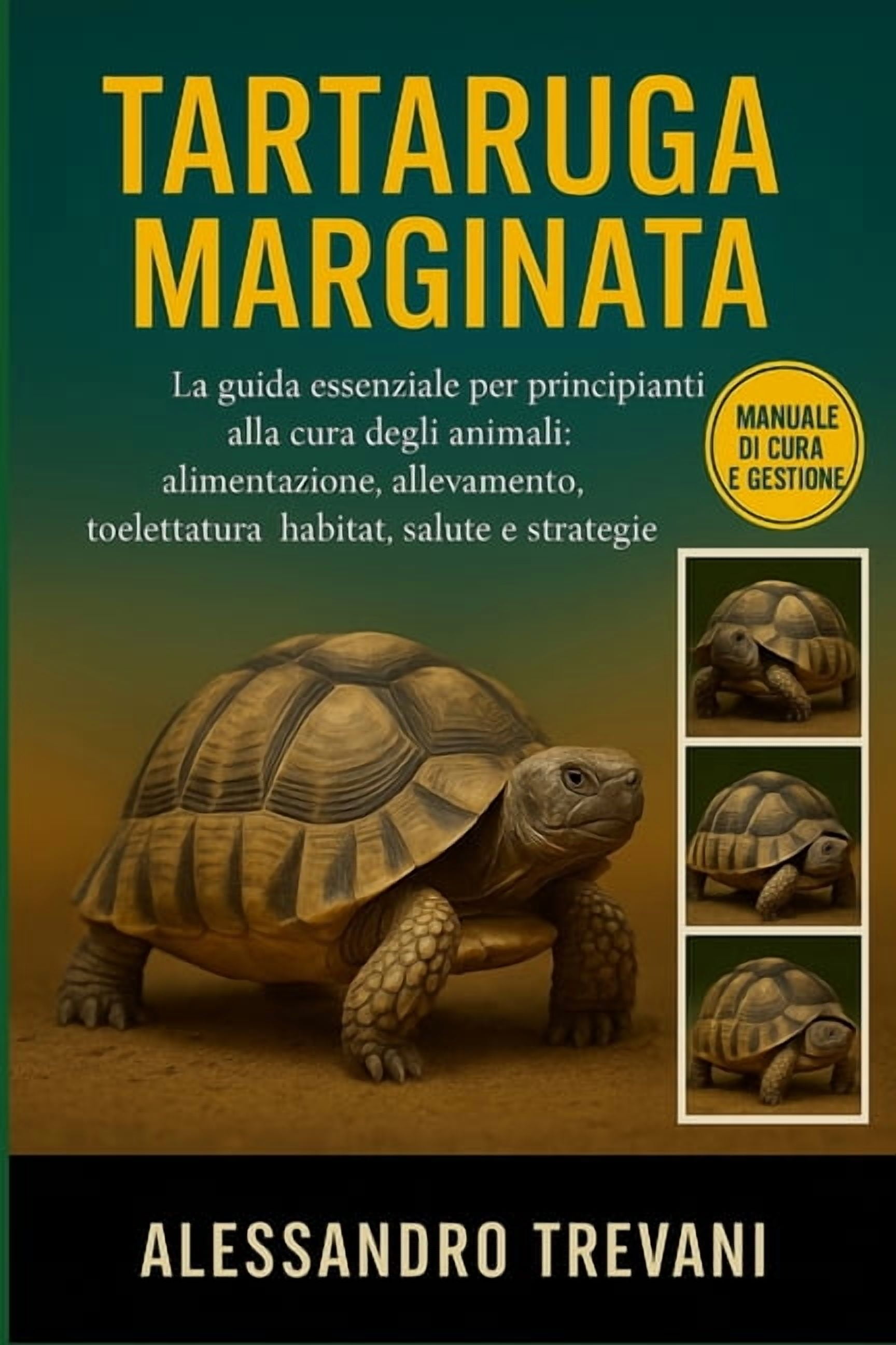 Tartaruga Marginata: La guida essenziale per principianti alla cura degli animali: alimentazione, allevamento, toelettat, (Paperback)