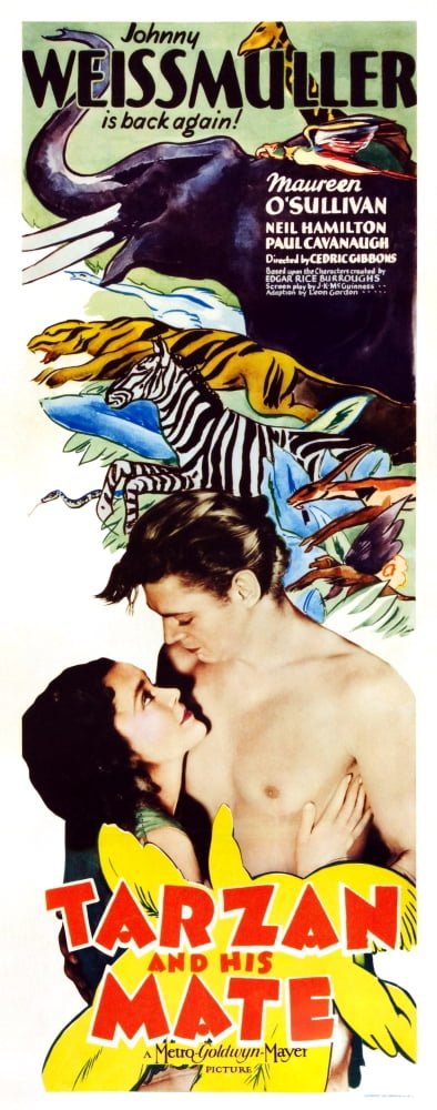 Tarzan And His Mate Canvas Art - (24 x 36)