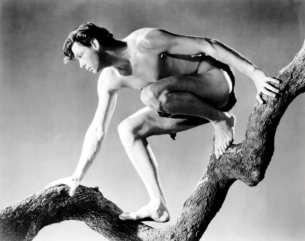 Tarzan And His Mate Canvas Art - (28 x 22)