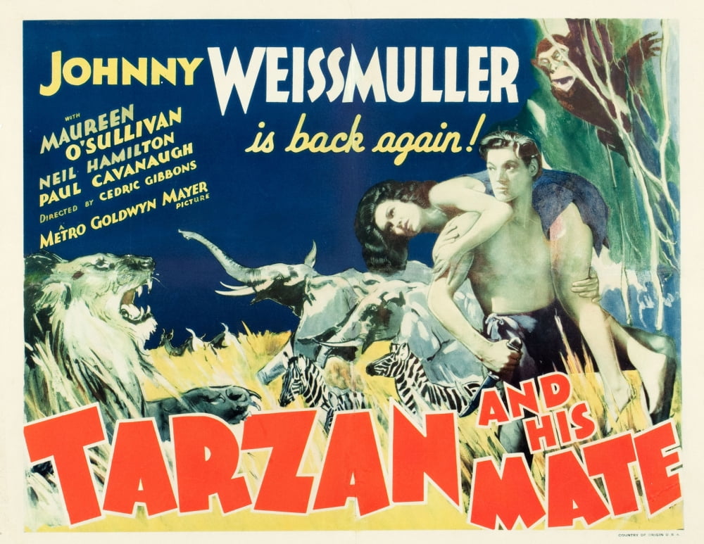Tarzan And His Mate Canvas Art - (28 x 22)
