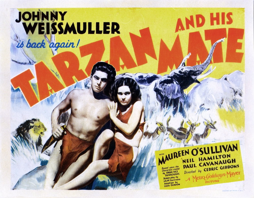 Tarzan And His Mate U Canvas Art - (28 x 22)