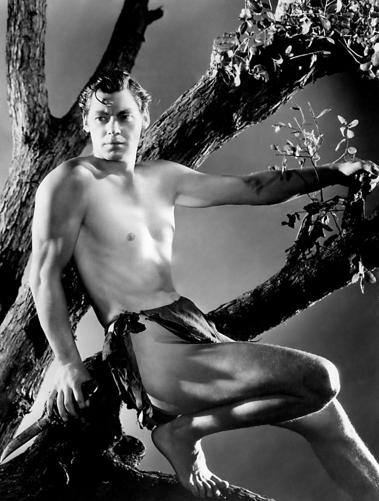 Tarzan Canvas Art - (16 x 20)