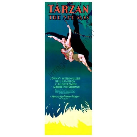 Tarzan Movie Poster Insert 14inx36in Unframed, Age: Adults, Rectangle Western Graphic