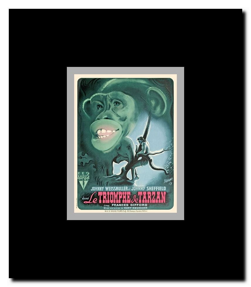 Tarzan Triumphs - French c.1943 Framed Movie Poster