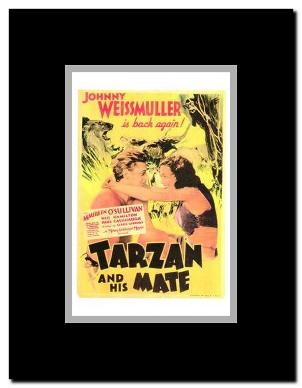 Tarzan and His Mate c.1934 - style B Framed Movie Poster