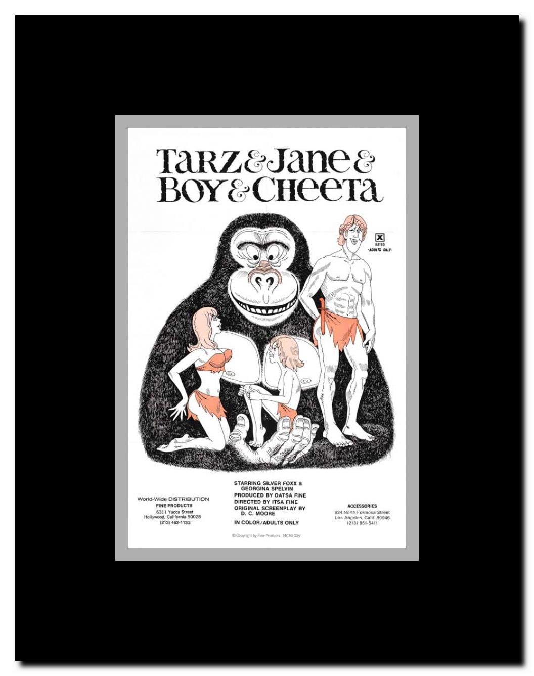 Tarzan and Jane Regained... Sort of Framed Movie Poster