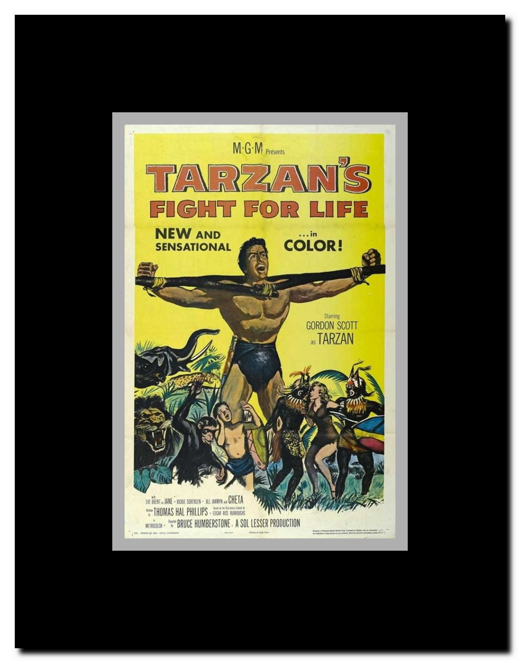Tarzan's Fight for Life Framed Movie Poster