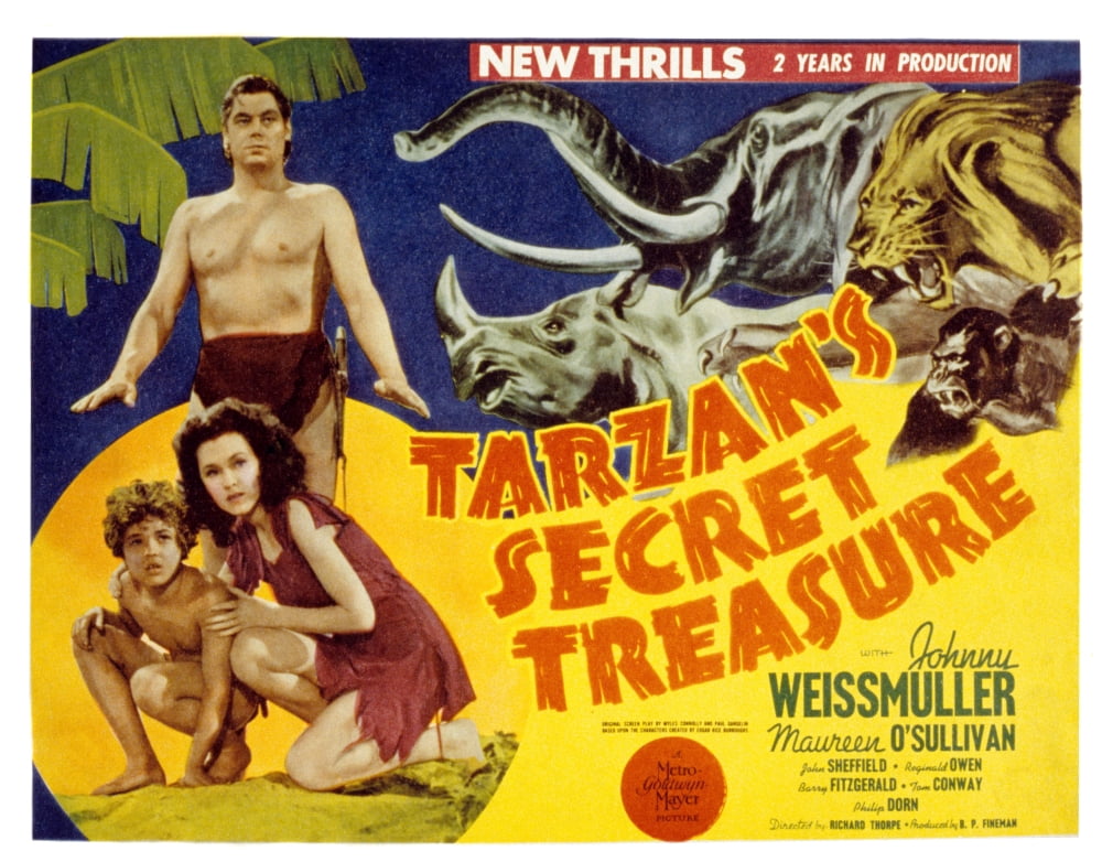 TarzanS Secret Treasure Canvas Art - (28 x 22)