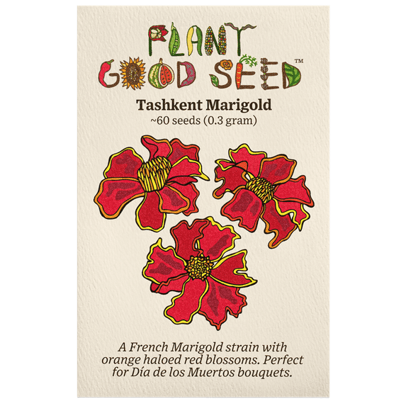 Plant Good Seed Tashkent Marigold Flower Seed Packet: Orange Red Haloed Heirloom, Organic, Full Sun