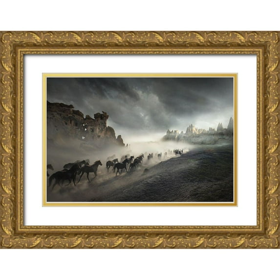 Taskin, Huseyin 18x13 Gold Ornate Wood Framed with Double Matting Museum Art Print Titled - Migration