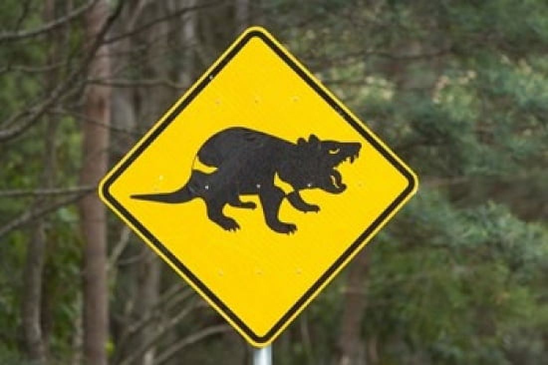 Tasmanian Devil warning sign Tasman Peninsula Australia Canvas Art - David Wall DanitaDelimont (36 x 24)