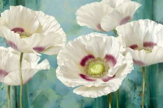 Tasmanian Poppies I Canvas Art - Igor Levashov (12 x 18)