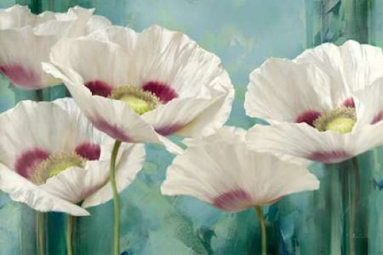 Tasmanian Poppies II Canvas Art - Igor Levashov (12 x 18)