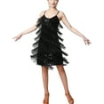 thumbnail image 1 of Tassel 20'S Flapper Gatsby Era Themed New Years Eve Party Dresses Lady Womens, 1 of 8