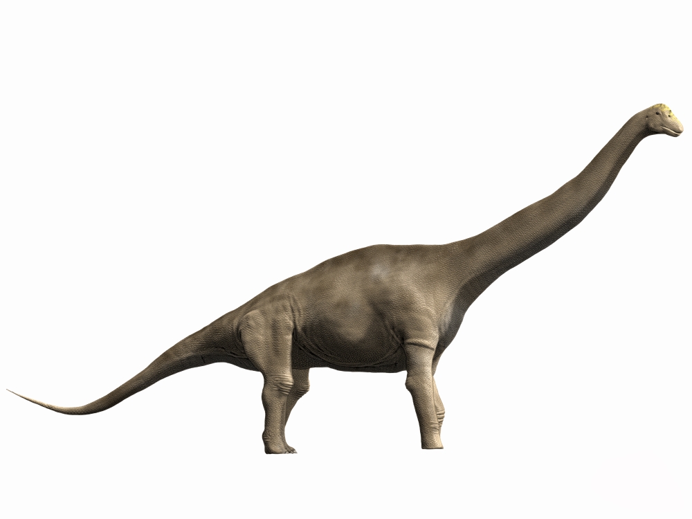 Tastavinsaurus sanzi Early Cretaceous of Spain Canvas Art - Nobumichi TamuraStocktrek Images (33 x 25)