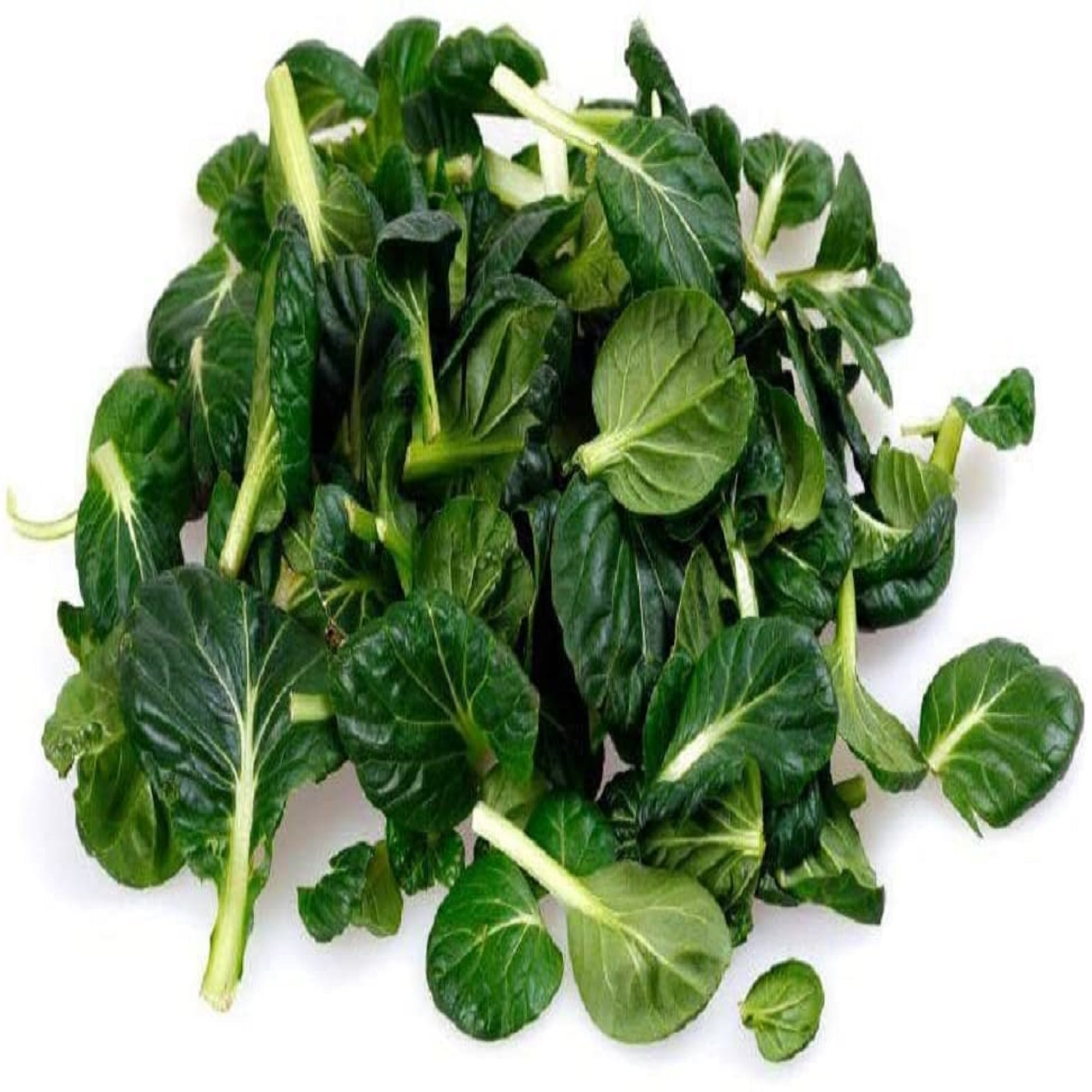 Country Creek Acres Tatsoi Mustard Green Seeds - Thumbnail 4