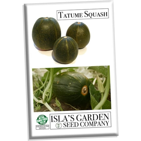 Tatume Squash Seeds for Planting, 30+ Heirloom Seeds Per Packet Non GMO Seeds, Botanical Name Cucurbita pepo