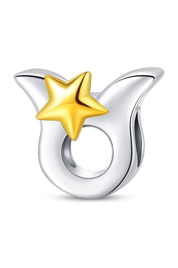 Taurus Charm, Compatible with Most Bracelet, Charm for Bracelet