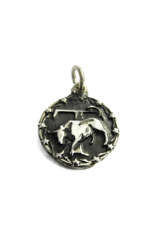Taurus Horoscope Zodiac Sign Unisex Pendant .925 Sterling Silver!!!