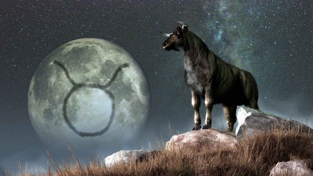 Taurus is the second astrological sign of the Zodiac Canvas Art - Daniel EskridgeStocktrek Images (19 x 11)