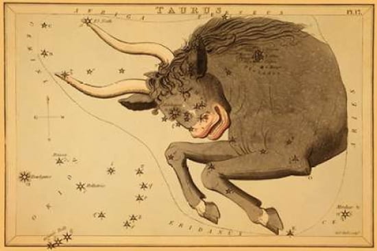 Taurus the Bull 1825 Canvas Art - Jehoshaphat Aspin (24 x 36)