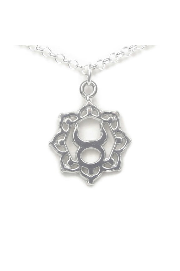 Taurus the Bull Zodiac Sign Necklace Pewter - Gift Packaged on story card with personality traits - Made in USA (20" chain length)