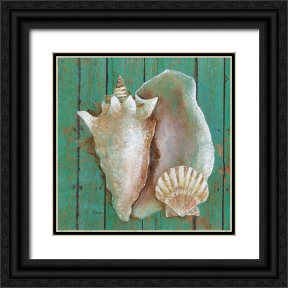 Tava, Janet 20x20 Black Ornate Wood Framed with Double Matting Museum Art Print Titled - Conch