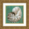 thumbnail image 1 of Tava, Janet 26x26 Gold Ornate Wood Framed with Double Matting Museum Art Print Titled - Nautilus, 1 of 4